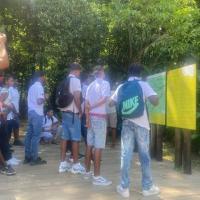Visite de la maison de la forêt